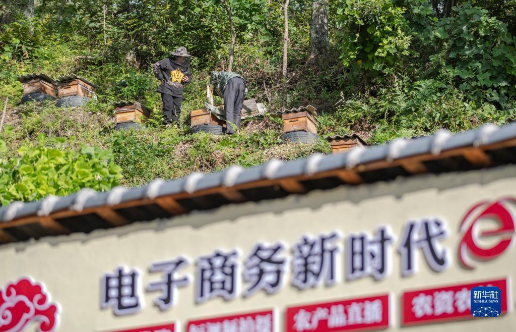 4355游戏乐园
